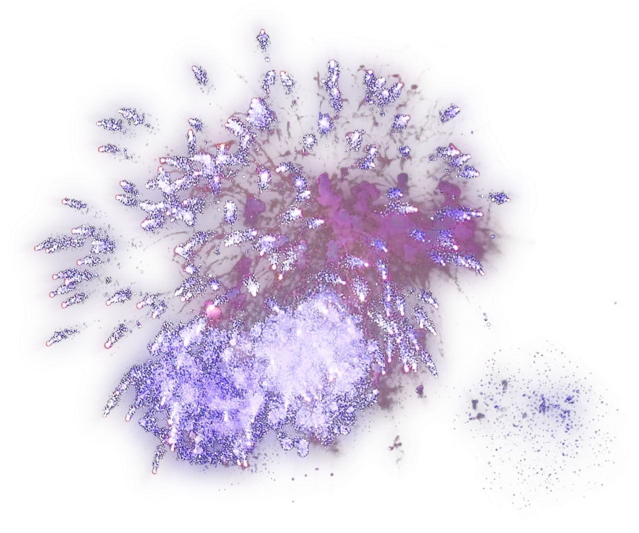 Fuegos artificiales, superposición, png, naturaleza, animal, primer plano, fondos, bajo el agua, resumen