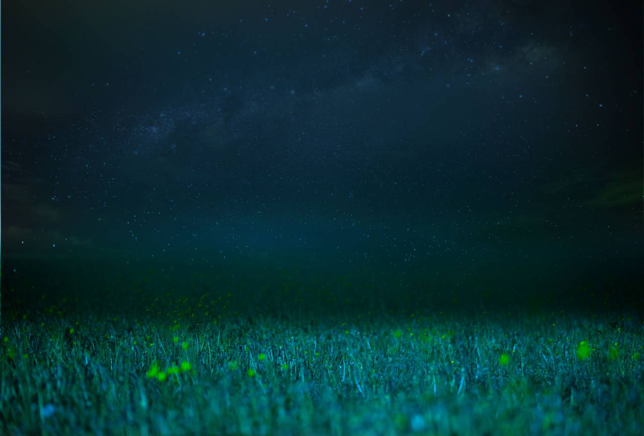 pastizales;fondo,vía láctea,noche,galaxia,naturaleza,astronomía,estrella,espacio,nebulosa,espacio,ciencia,oscuridad,constelación,azul,campo de estrellas,planeta,paisaje,fondos,
