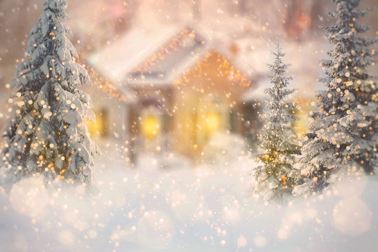 navidad;fondo;copia espacio;telón de fondo;invierno,nieve,invierno,árbol,temporada,fondos,celebración,copo de nieve,naturaleza,ilustración,bosque,noche,decoración,al aire libre,nevando,paisaje,telón de fondo,