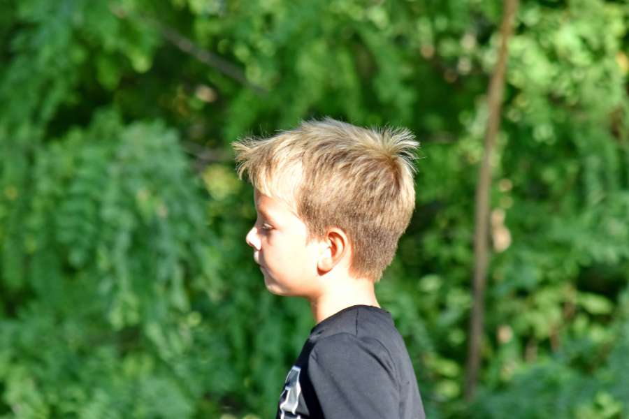 blonde hair, boy, forest, portrait, side 