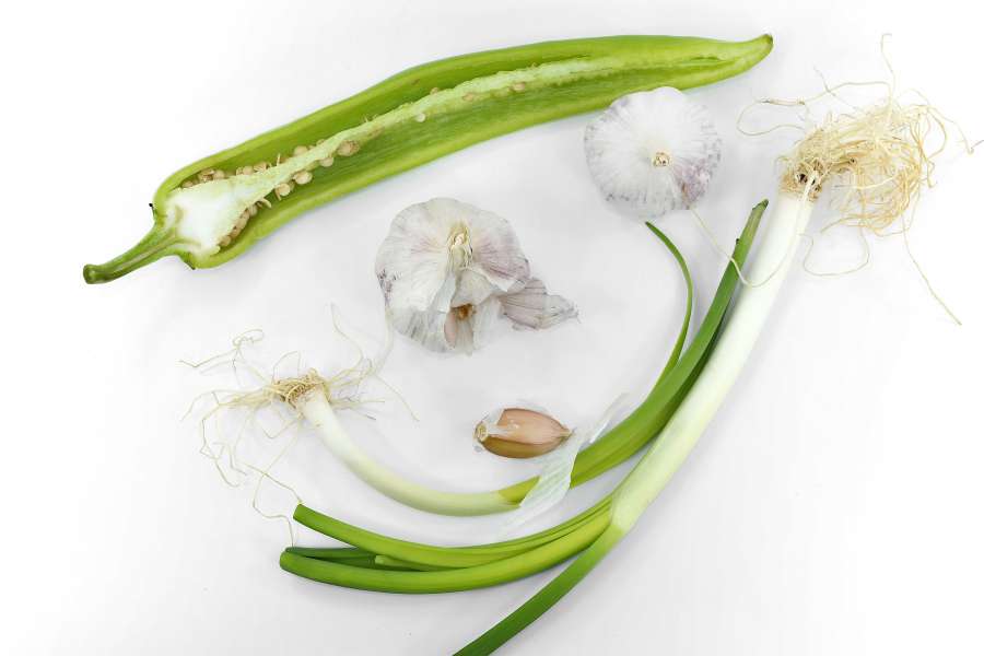 antibacterial, antioxidant, cross section 