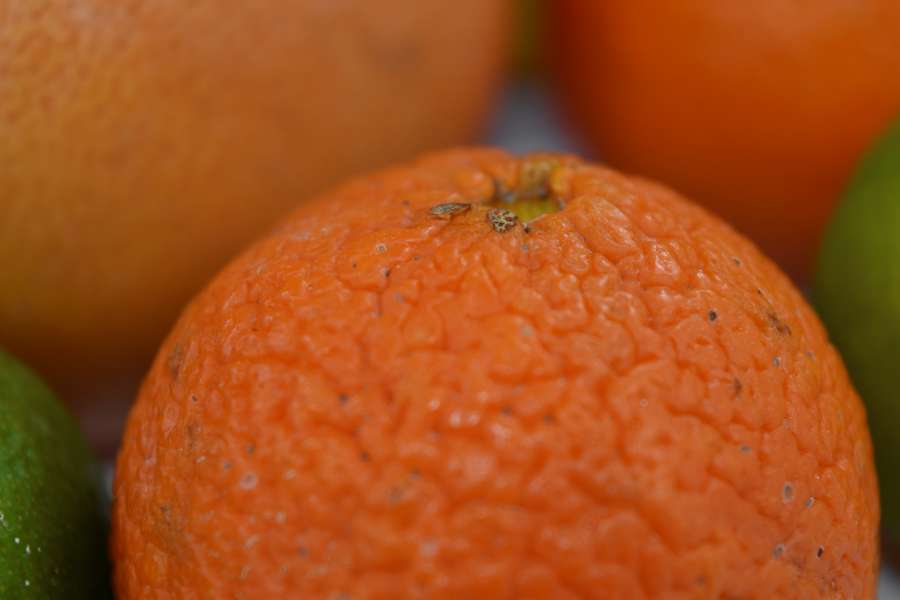 close-up, tangerine, juice, citrus, orange 