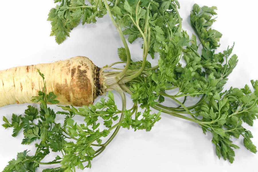 antioxidant, aromatic, parsley, root 
