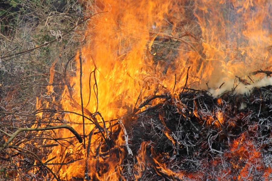 Fuego, quema rastrojos, foc, llamas, 