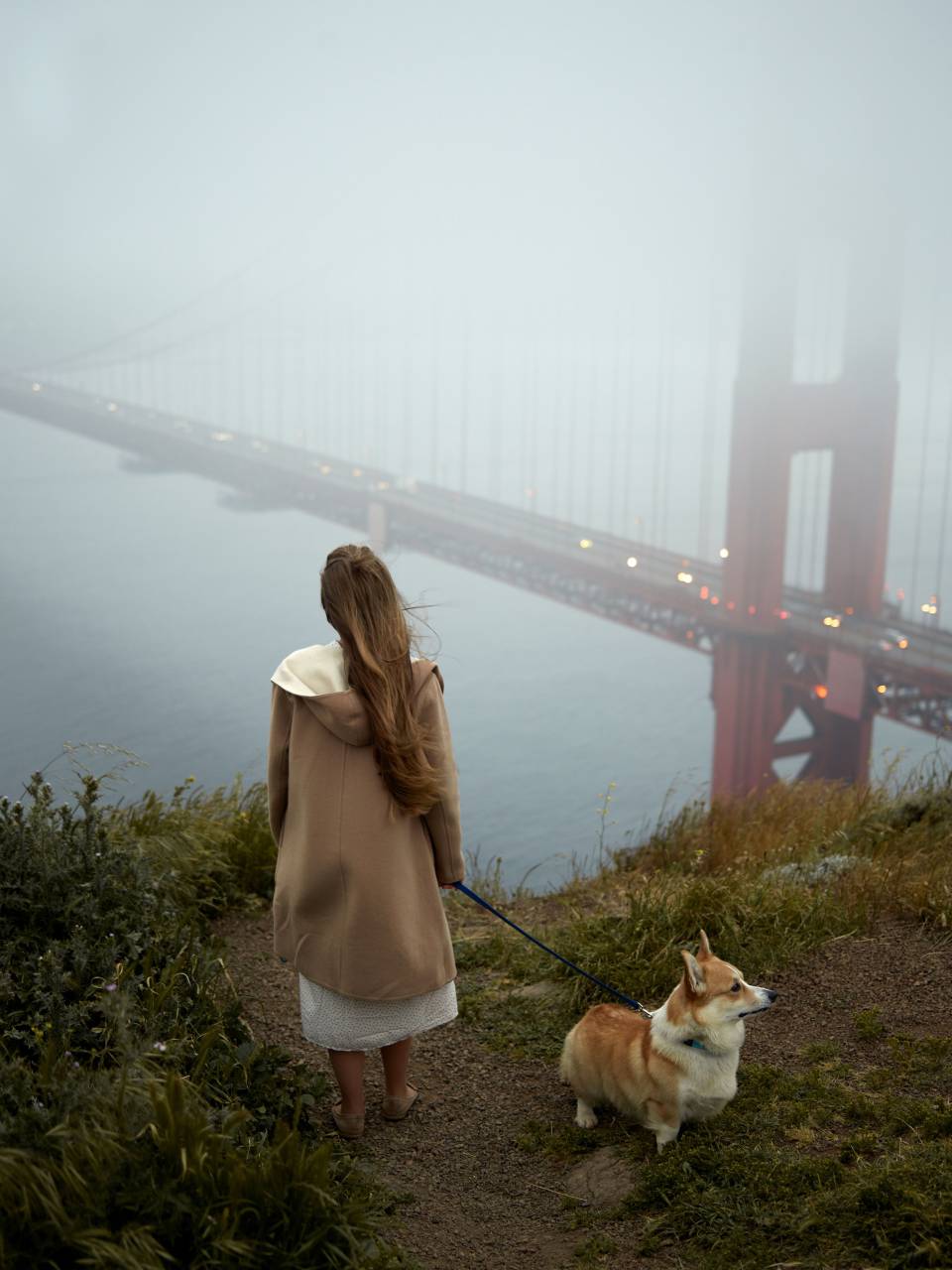 bridge, usa, city, california, travel, francisco, people, golden, gate, san, sky, red, tourism, landmark, bay, tourist, cityscape, architecture, water, america, attraction, urban, sunrise, san francisco, outdoor, ocean, transportation, cloud, vacation, golden gate bridge, financial, famous, skyline, suspension, landscape, sea, no, couple, fog, structure, view, summer, american, tower, coast, steel, bike, cycle, exercise, cable, 