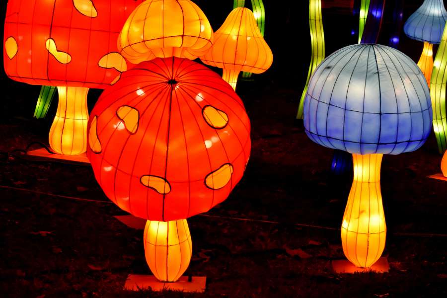 art, artistic, bright, lantern, luminescence 