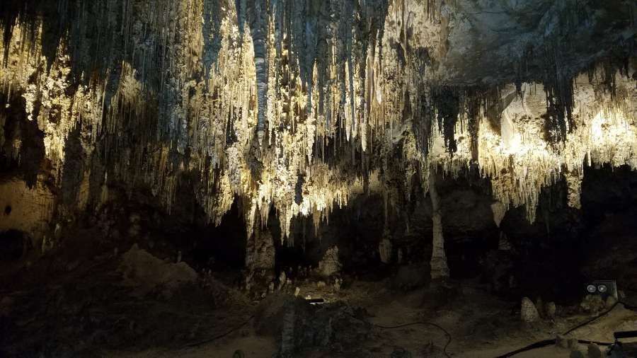 trees, limestone, cave, ?landscape?, park 