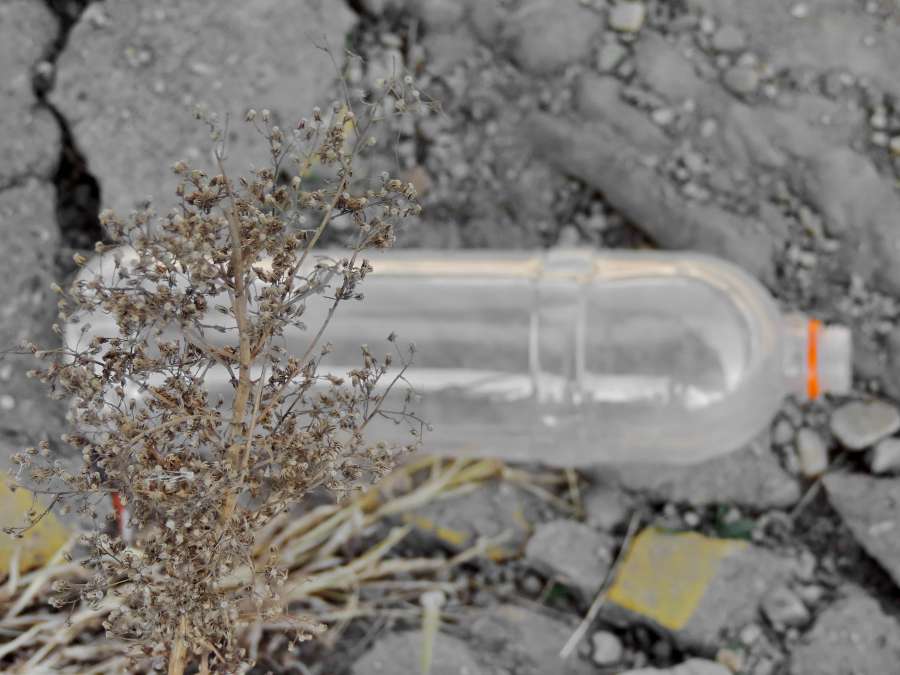 estación seca, ecología, basura, tierra
