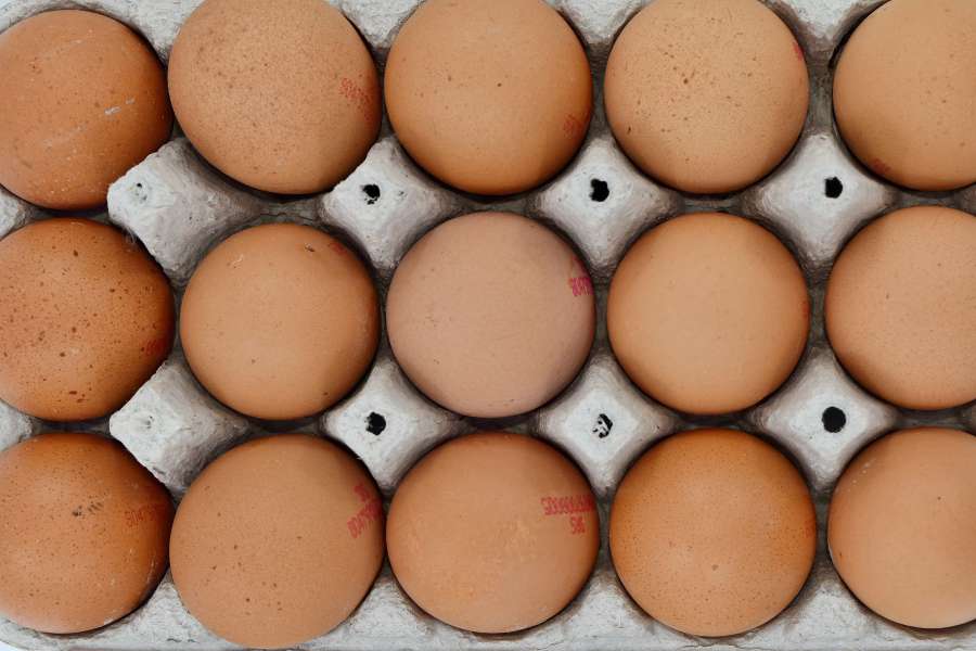 aerial, egg, egg box, food, protein, chicken 