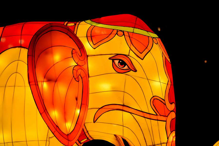 artwork, elephant, fantasy, head, orange 