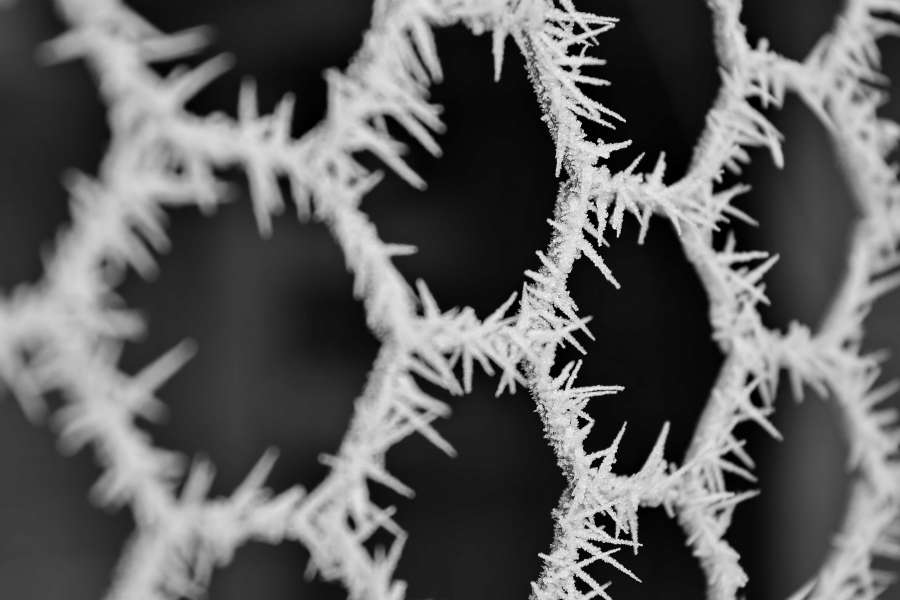 black and white, close-up, cold, details 