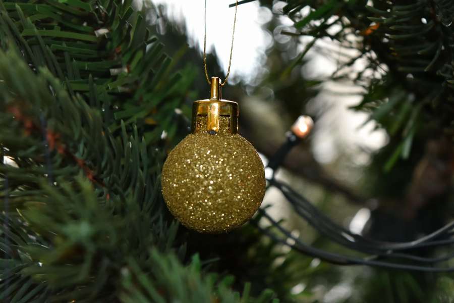 christmas, christmas tree, golden glow 
