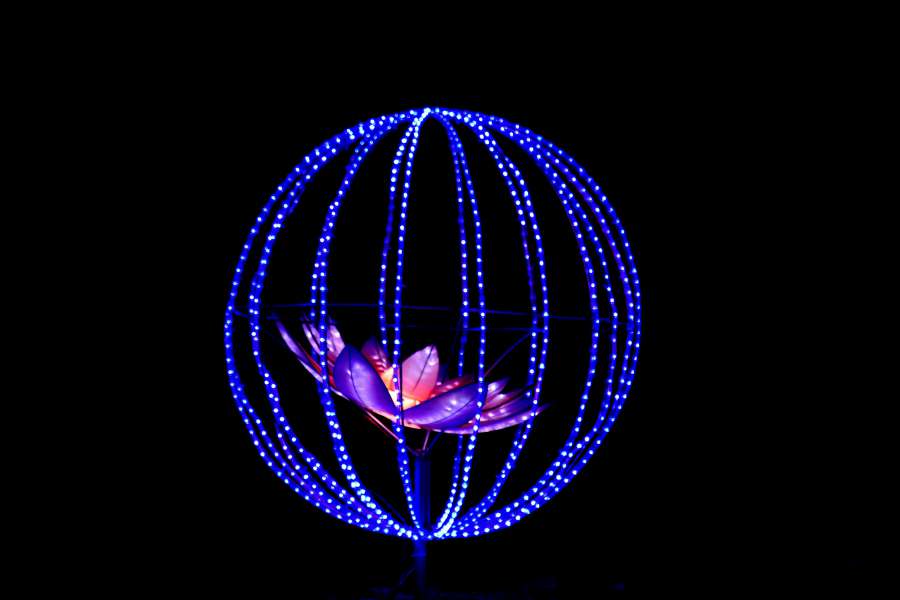 art, blue, flower, illuminated, light, night 