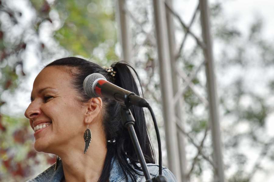 concert, entertainer, microphone, singer 