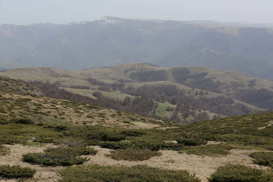 ladera, cima de la colina, panorama, rango, alto
