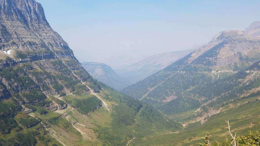 foggy, foliage, hillside, valley, nature 