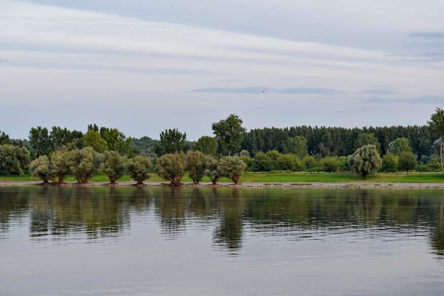 river, riverbank, ?landscape?, forest, land 