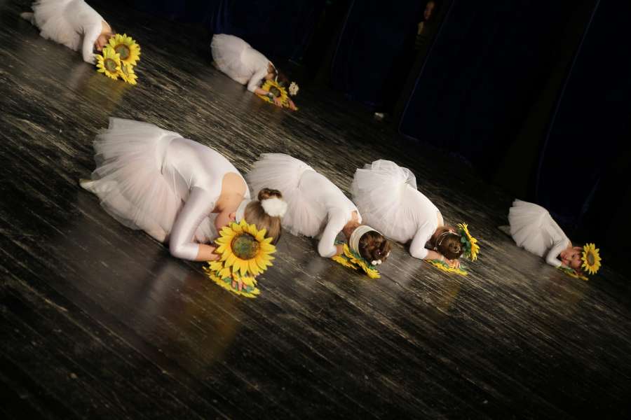 ballet, teamwork, dance, dress, skirt, music 