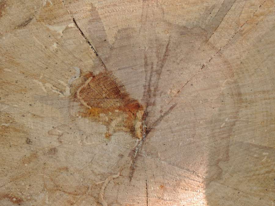 firewood, stain, rough, ?texture?, dirty, old 