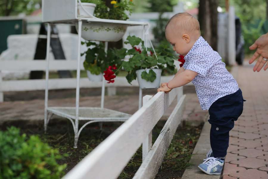 bebé, niñito, primero, paso, niño, al aire libre