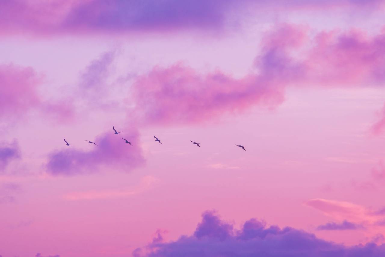 sky, heaven, abstract, background, cloud, beautiful, pink, light, blue, nature, bright, color, cloudscape, texture, weather, colorful, cloudy, summer, white, air, clouds, sunset, day, space, sunrise, pastel, sun, sunlight, fluffy, beauty, orange, yellow, landscape, fantasy, atmosphere, soft, outdoor, wallpaper, purple, morning, freedom, evening, clear, sunny, cumulus, design, dream, vector, backdrop, view, 