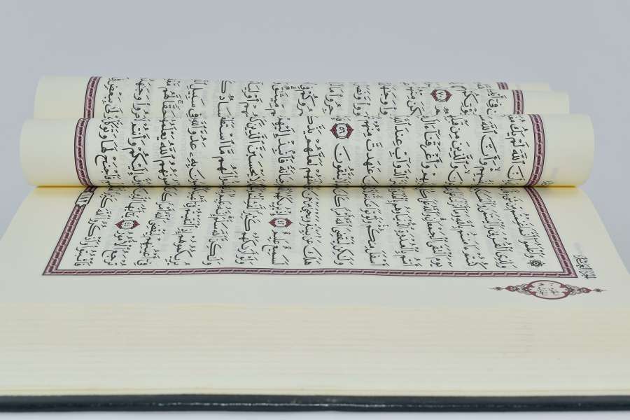 arabic, book, language, study, text, paper 