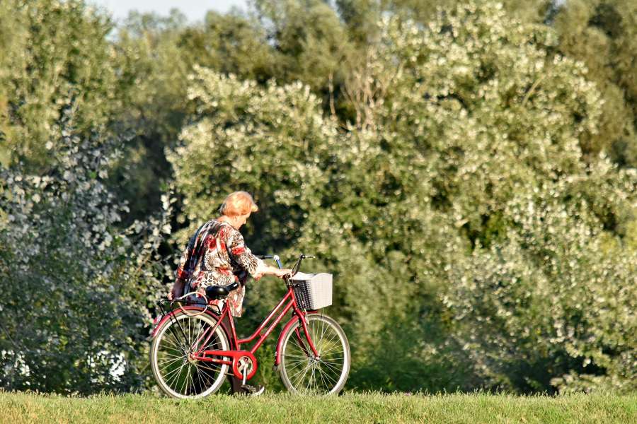 bicycle, enjoyment, forest, grandmother 