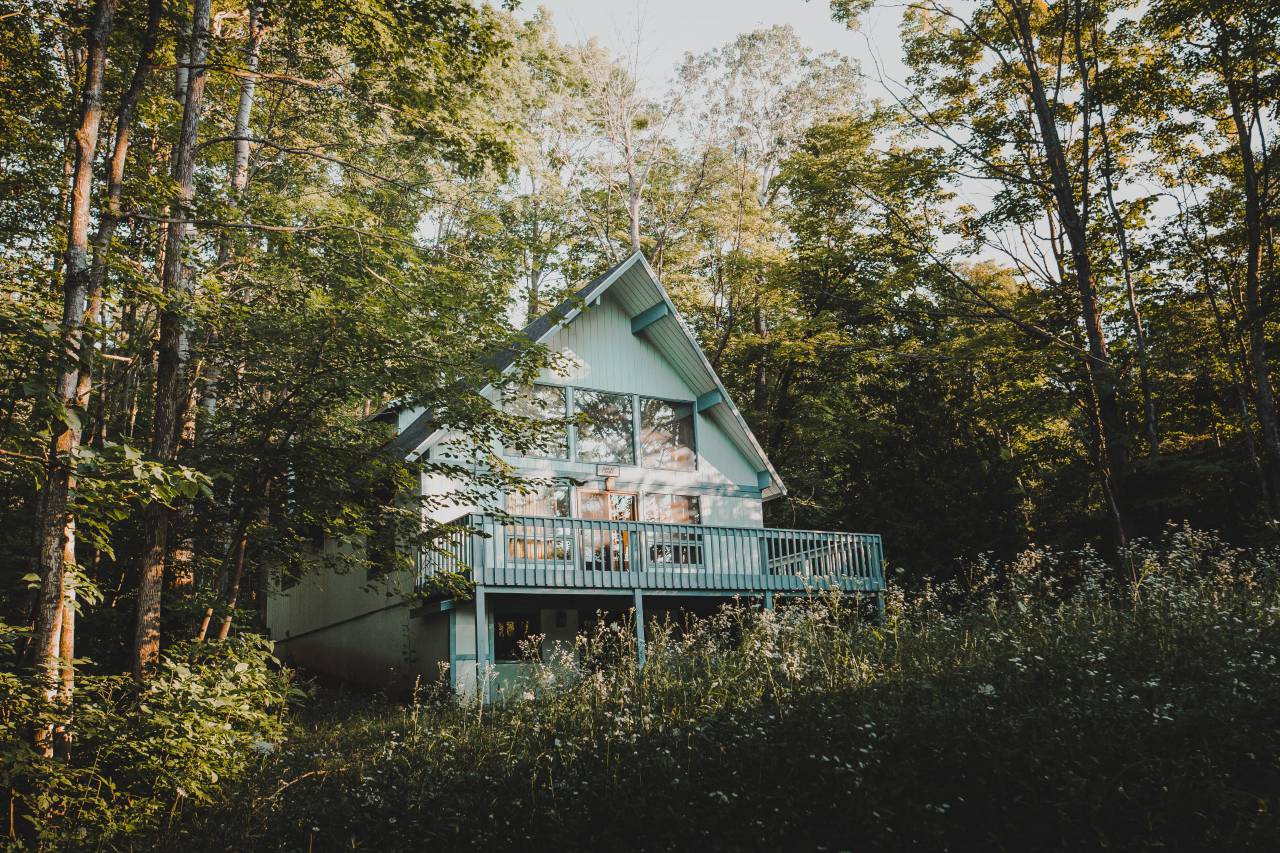 nobody, cabin, nature, forest, woods, house, rural, tree, home, old, log, architecture, wooden, exterior, structure, cottage, landscape, background, green, summer, outdoor, hut, building, scene, outdoors, residential, culture, wood, pine, window, garden, rough, wall, timber, villa, built, brown, trunk, countryside, construction, design, light, rustic, traditional, abandoned, country, fence, sky, season, village, 