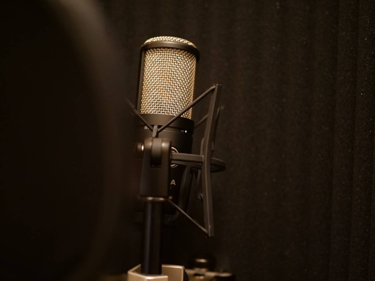 microphone, mic, music, audio, sound, studio, voice, karaoke, communication, entertainment, radio, sing, stage, speech, record, media, concert, object, musical, broadcasting, broadcast, live, equipment, background, technology, audience, vocal, speak, performance, volume, professional, podcast, recording, podcasting, conference, 