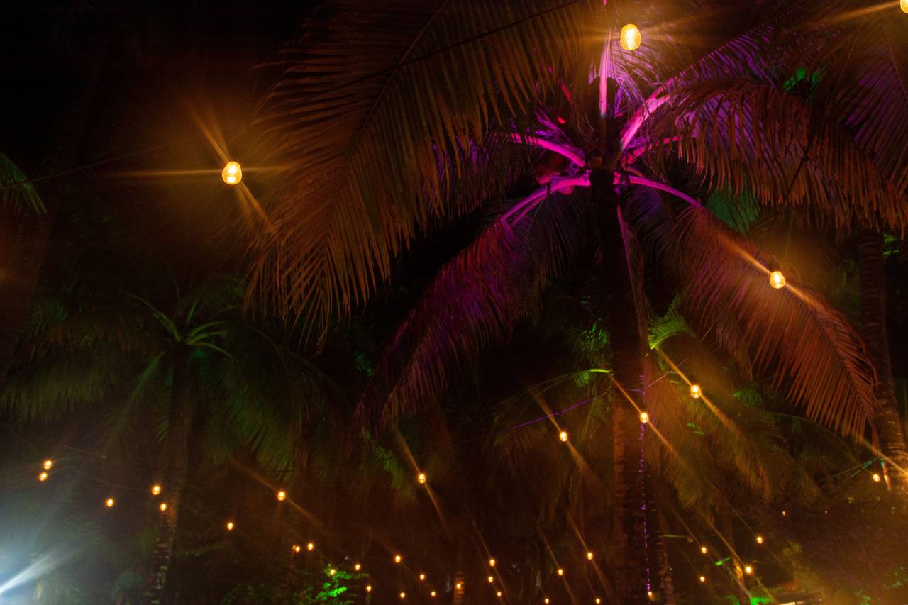 tropical, night, background, tree, palm, nature, summer, silhouette, beautiful, travel, light, dark, exotic, design, vacation, abstract, romantic, pattern, palm tree, black, scene, wallpaper, decoration, tropic, vintage, texture, branch, shadow, 