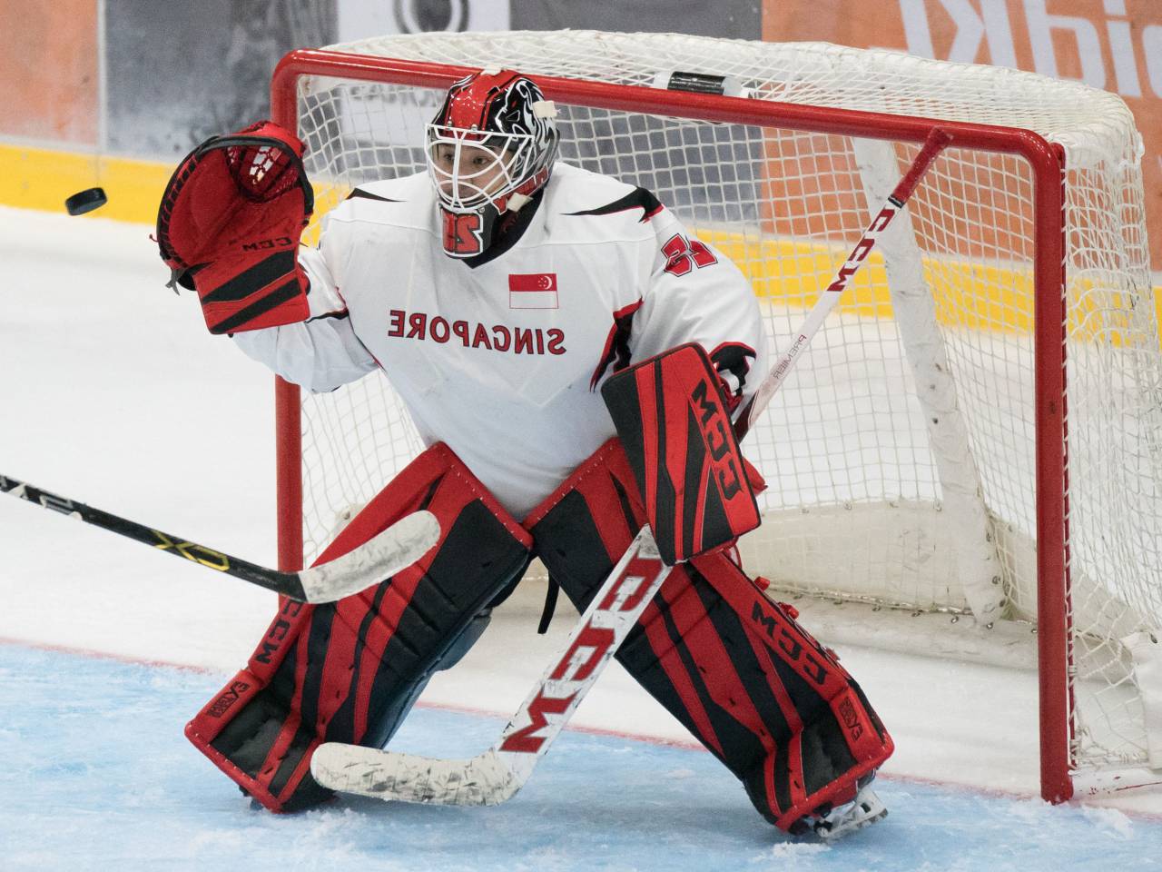 helmet, stick, goalkeeper, sport, hockey, equipment, winter, goal, game, puck, ice, team, player, athlete, white, professional, skate, play, background, uniform, goalie, competition, action, protection, mask, rink, person, skating, glove, people, net, red, graphic, sports, black, design, symbol, skill, man, isolated, goaltender, abstract, icon, motion, sign, stadium, 