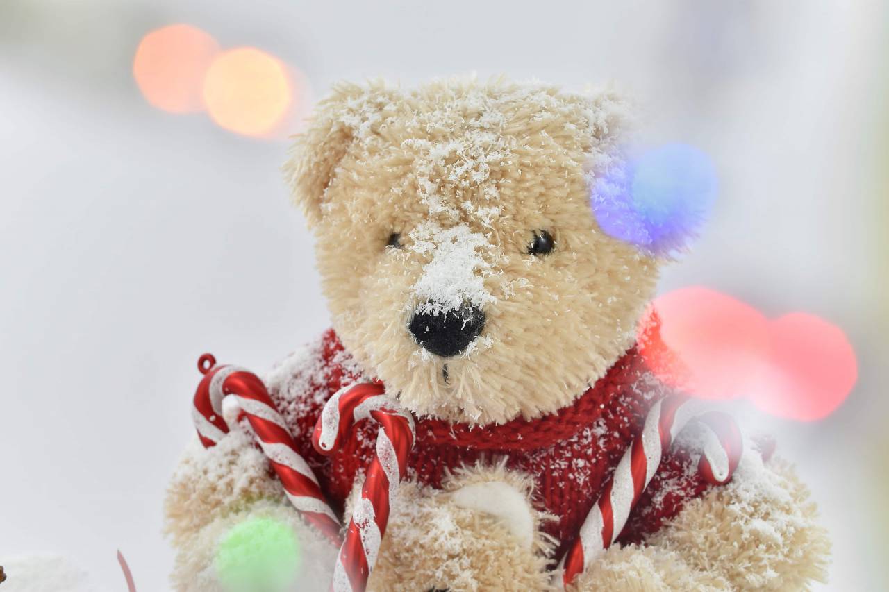 osito de peluche, juguetes, juguetería, juguete, nieve