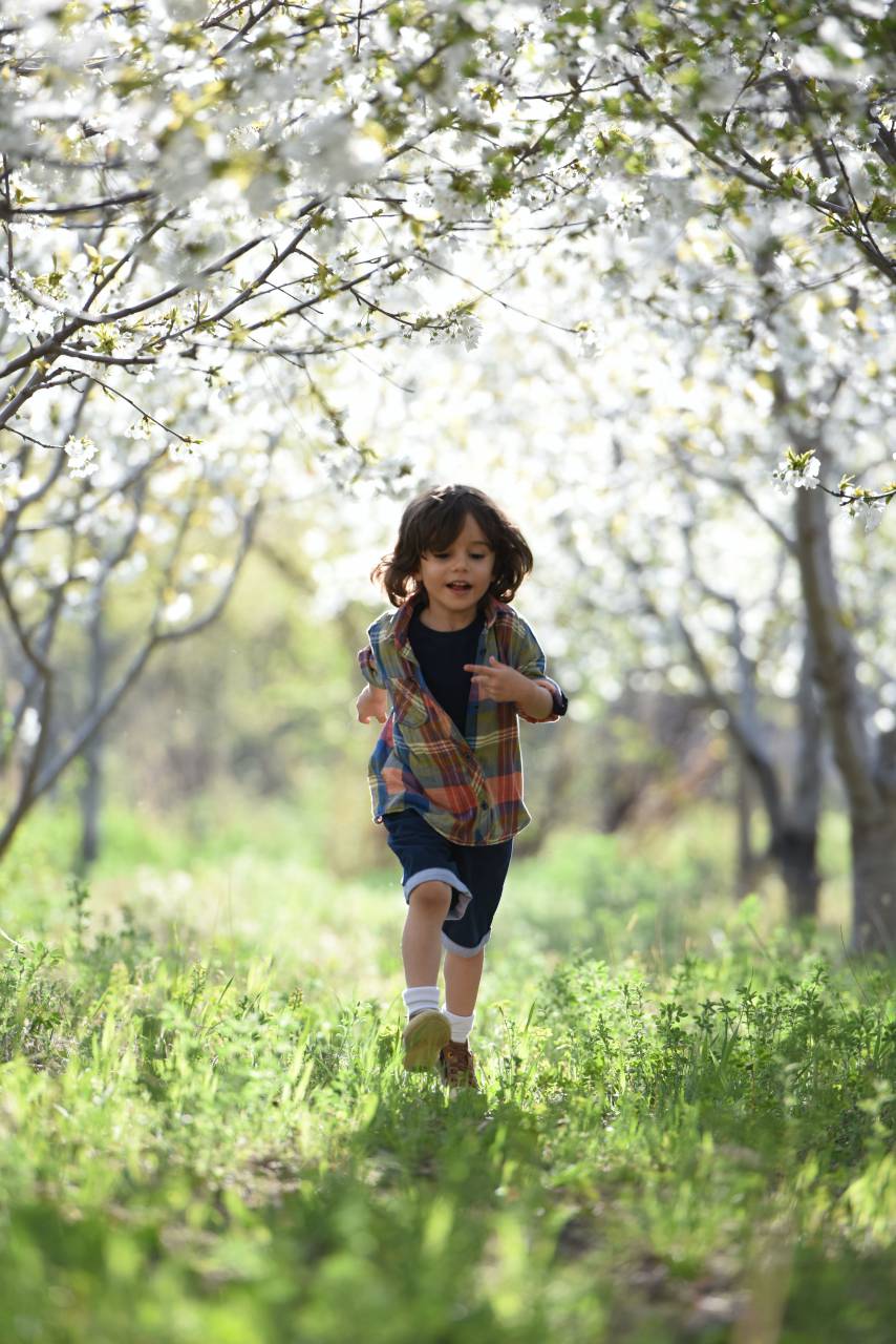 child;running;outdoors,outdoors,nature,child,happiness,smiling,fun,summer,lifestyles,cute,childhood,cheerful,one person,caucasian ethnicity,boys,playing,playful,running,joy,tree,small,grass,springtime,forest,girls,activity,day,green color,sport, 