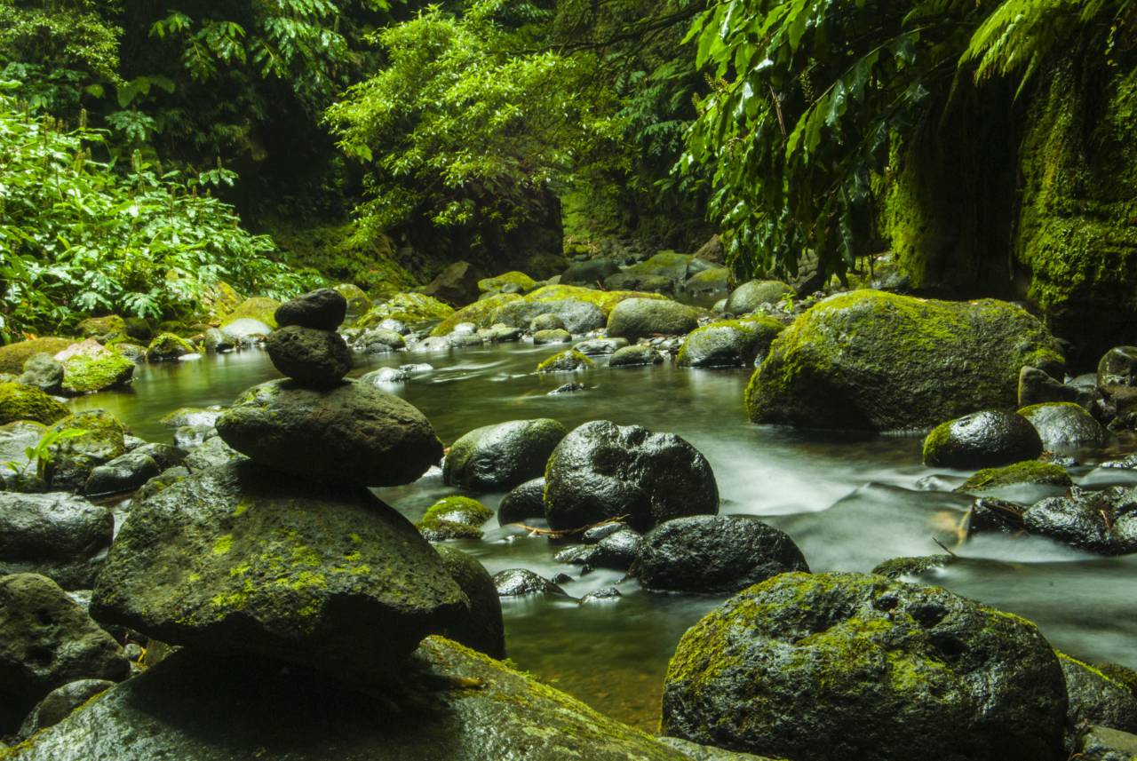 Tranquil Scene;mountain;River,nature,forest,green color,rock,object,outdoors,water,tree,landscape,stone,object,beauty in nature,tropical rainforest,flowing,summer,flowing water,leaf,wet,freshness,plant,mountain,tranquil scene, 