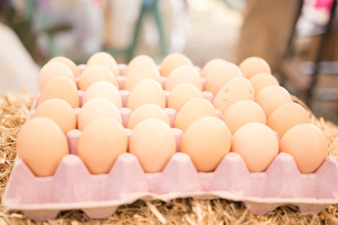 marrón, huevo, naturaleza, comida, fondo, natural, orgánico, granja, gallina, verde, pascua, pollo, campo, fresco, desayuno, proteína, huevos, animal, saludable, crudo, ingrediente, primer plano, nutrición, aves de corral, al aire libre, Verano, shell, nutritivos, grupo, comer, cocinar, rural, libre, dieta, doméstico, exterior, sabroso, rojo