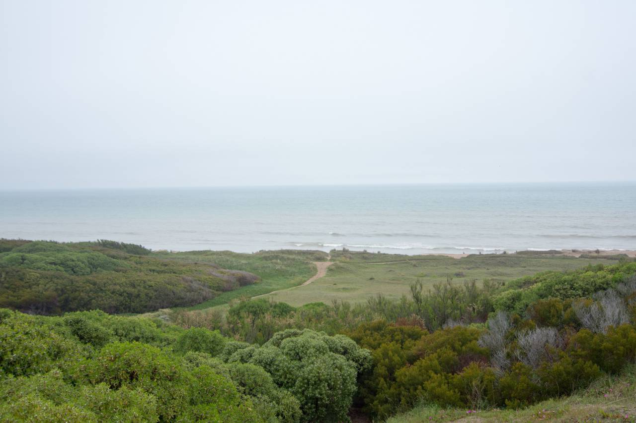 Miramar, Atlantic Ocean, Coastline, Beach, Waves, Seascape, Buenos Aires, Argentina, Vacation, Travel, Tourism, Scenic, Landscape, Summer, Skyline, Outdoors, Nature, Water, Sand, Surf, Relaxation, Leisure, Adventure, 