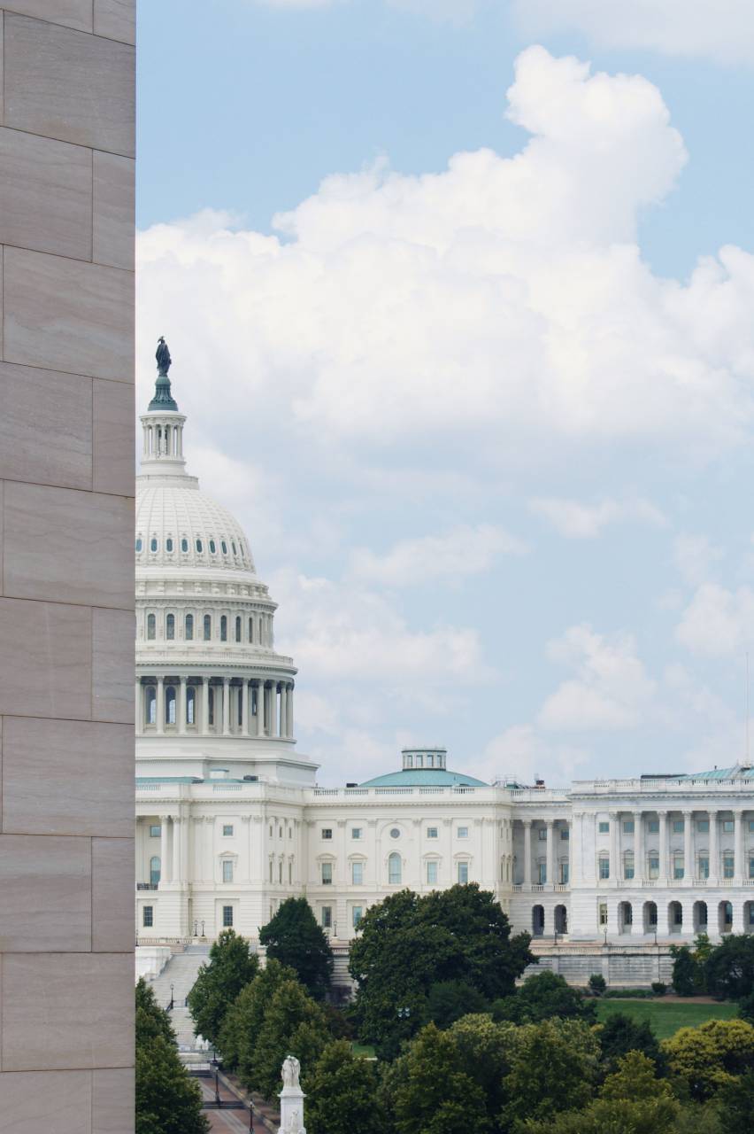 gobierno, dc, washington, casa, arquitectura, edificio, historia, punto de referencia, blanco, presidente, política, américa, estados unidos, americano, capital, unido, residencia, exterior, símbolo, estados, político, democracia, columbia, distrito, monumento, nosotros, hogar, oficina, césped, cielo, ciudad, poder, congreso, azul, jardín, histórico, hermoso, paisaje, pilares, colorido, columnas, elección, patriotismo, casa blanca, arbusto, capitolio, frente,