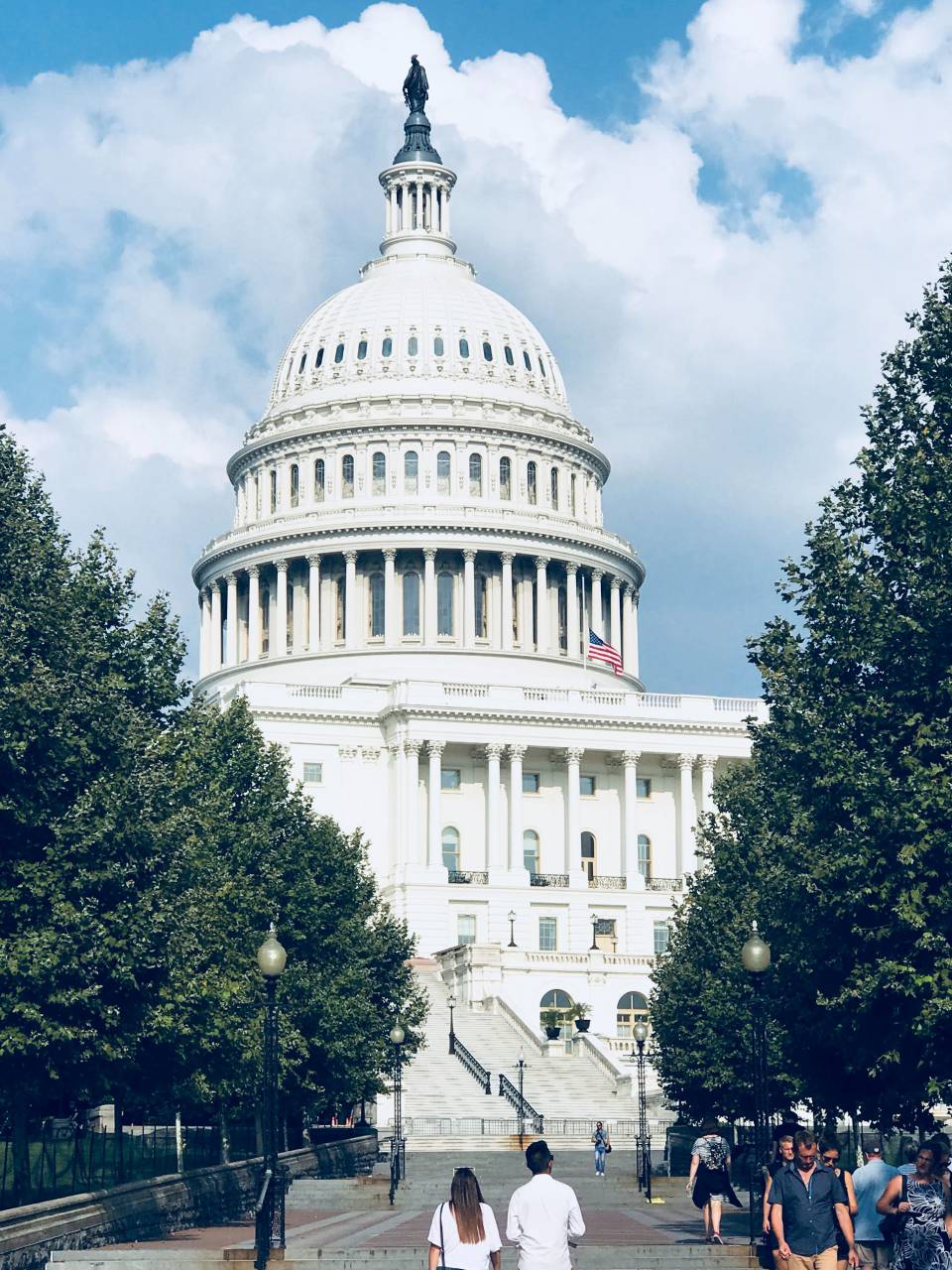 gobierno, dc, washington, casa, arquitectura, edificio, historia, punto de referencia, blanco, presidente, política, américa, estados unidos, americano, capital, unido, residencia, exterior, símbolo, estados, político, democracia, columbia, distrito, monumento, nosotros, hogar, oficina, césped, cielo, ciudad, poder, congreso, azul, jardín, histórico, hermoso, paisaje, pilares, colorido, columnas, elección, patriotismo, casa blanca, arbusto, capitolio, frente,