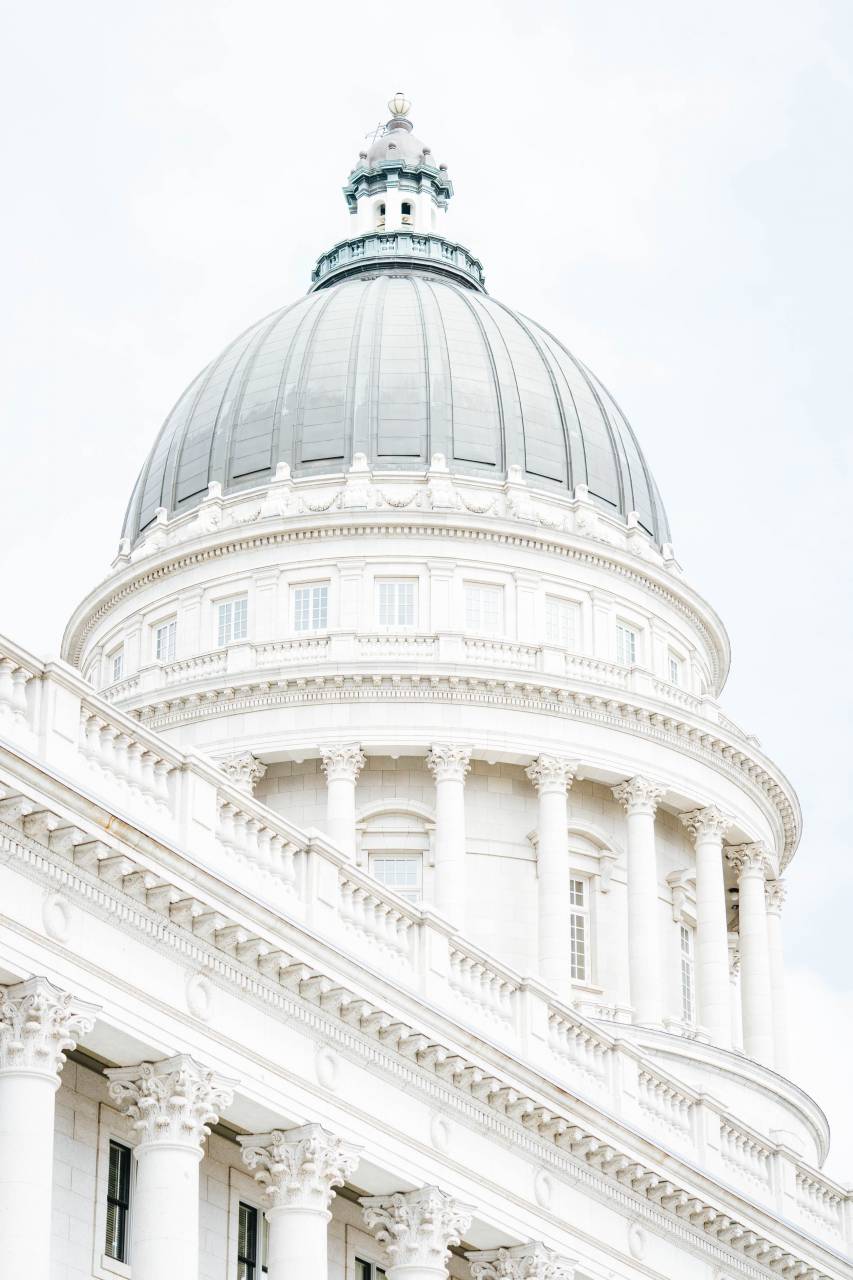 gobierno, dc, washington, casa, arquitectura, edificio, historia, punto de referencia, blanco, presidente, política, américa, estados unidos, americano, capital, unido, residencia, exterior, símbolo, estados, político, democracia, columbia, distrito, monumento, nosotros, hogar, oficina, césped, cielo, ciudad, poder, congreso, azul, jardín, histórico, hermoso, paisaje, pilares, colorido, columnas, elección, patriotismo, casa blanca, arbusto, capitolio, frente,
