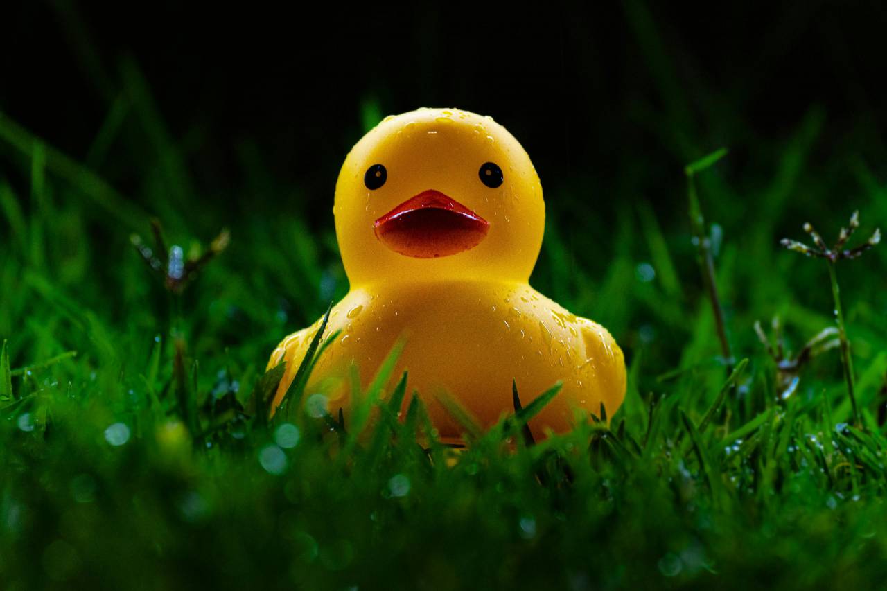 Rubber, Duck, Toy, Grass, Close-up, Nature, Playful, Outdoors, Cute, Yellow, Green, Fun, Childhood, Summer, Whimsical, Bright, Colorful, Plastic, Cheerful, Floating, Nostalgic, Detail, Vibrant, Relaxation, Innocence, Simple, Toying, Happy, Grassland, Adventure, 