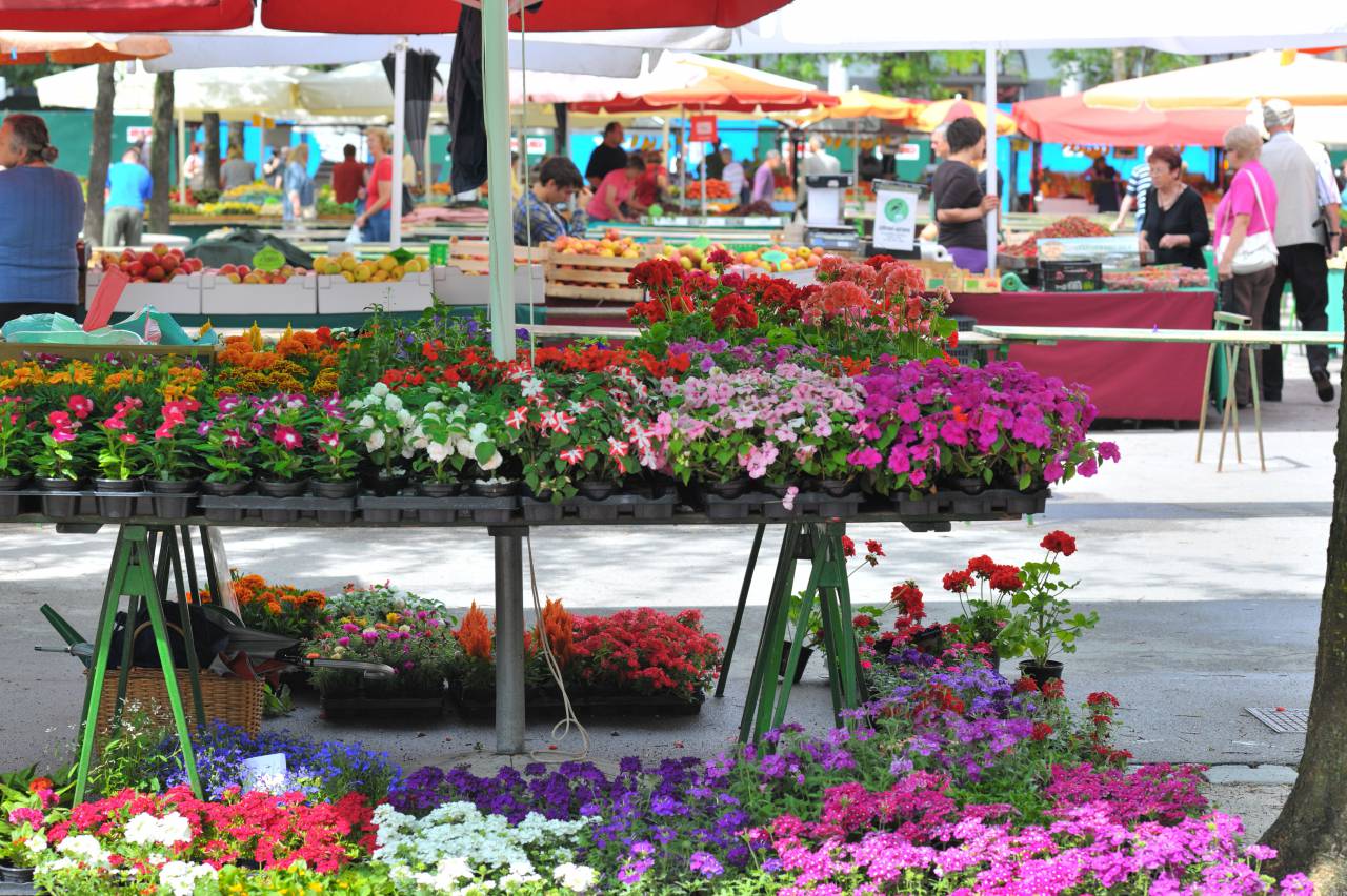 flower shop,freshness,multi colored,flower,market vendor,traditional festival,retail,selling,outdoors,nature, 