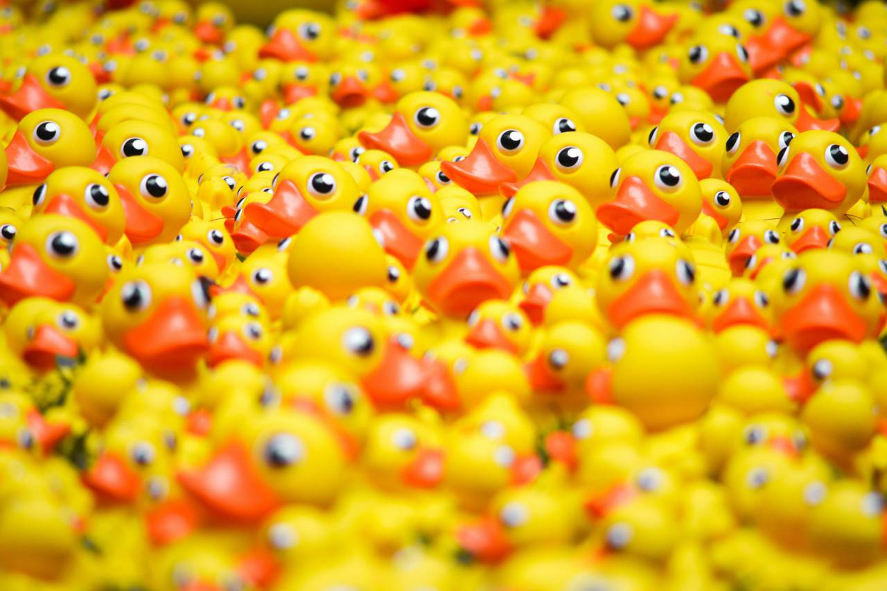 🥇 Image of toy multi colored rubber duckies;full;many close-up fun ...