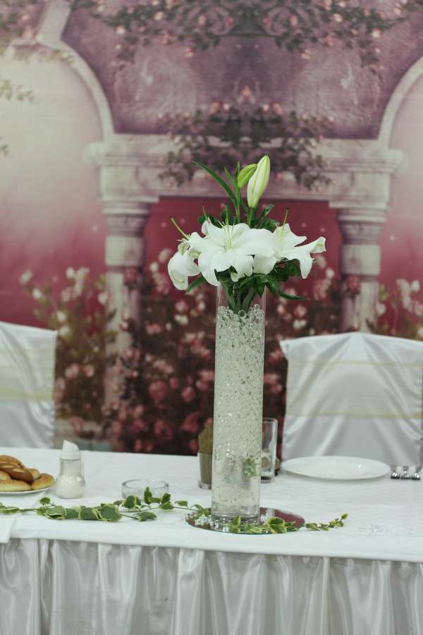 ramo, decoración de interiores, interior