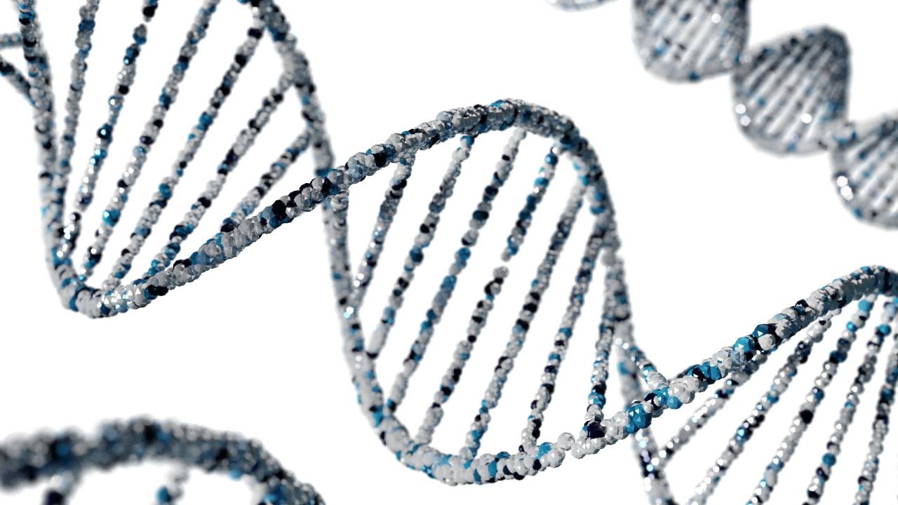 Double helix, Nucleotides, Base pairs, Genetic code, Chromosomes, Helical structure, Deoxyribonucleic acid, Adenine, Thymine, Guanine, Cytosine, DNA replication, DNA sequencing, Watson and Crick, Molecular biology, Genome, Genetic information, DNA strands, Genetic material, Genetic blueprint, DNA analysis, DNA molecule, DNA transcription, Genetic mutations, DNA function, DNA, 