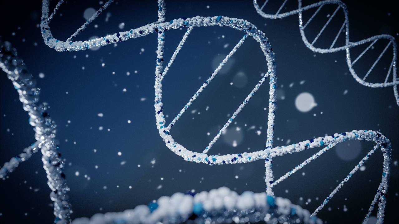 Doble hélice, Nucleótidos, Pares de bases, Código genético, Cromosomas, Estructura helicoidal, Ácido desoxirribonucleico, Adenina, Timina, Guanina, Citosina, Replicación del ADN, Secuenciación del ADN, Watson y Crick, Biología molecular, Genoma, Información genética, Hebras de ADN, Material genético , Modelo genético, análisis de ADN, molécula de ADN, transcripción de ADN, mutaciones genéticas, función del ADN, ADN,