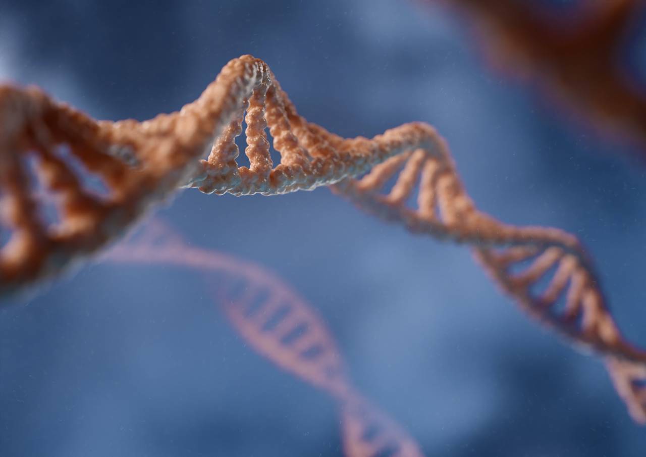 Double helix, Nucleotides, Base pairs, Genetic code, Chromosomes, Helical structure, Deoxyribonucleic acid, Adenine, Thymine, Guanine, Cytosine, DNA replication, DNA sequencing, Watson and Crick, Molecular biology, Genome, Genetic information, DNA strands, Genetic material, Genetic blueprint, DNA analysis, DNA molecule, DNA transcription, Genetic mutations, DNA function, DNA, 