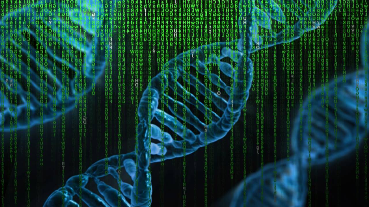 Doble hélice, Nucleótidos, Pares de bases, Código genético, Cromosomas, Estructura helicoidal, Ácido desoxirribonucleico, Adenina, Timina, Guanina, Citosina, Replicación del ADN, Secuenciación del ADN, Watson y Crick, Biología molecular, Genoma, Información genética, Hebras de ADN, Material genético , Modelo genético, análisis de ADN, molécula de ADN, transcripción de ADN, mutaciones genéticas, función del ADN, ADN,
