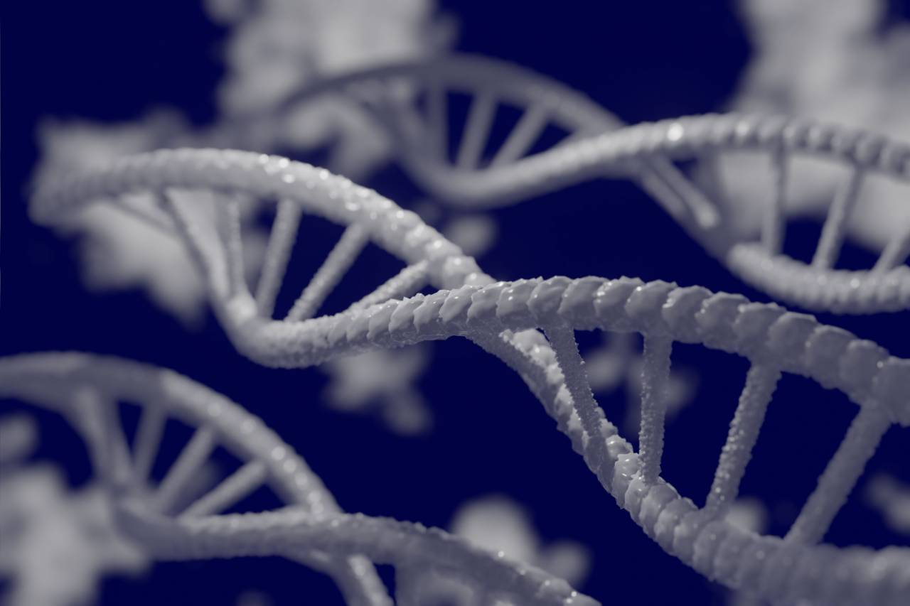 Doble hélice, Nucleótidos, Pares de bases, Código genético, Cromosomas, Estructura helicoidal, Ácido desoxirribonucleico, Adenina, Timina, Guanina, Citosina, Replicación del ADN, Secuenciación del ADN, Watson y Crick, Biología molecular, Genoma, Información genética, Hebras de ADN, Material genético , Modelo genético, análisis de ADN, molécula de ADN, transcripción de ADN, mutaciones genéticas, función del ADN, ADN,