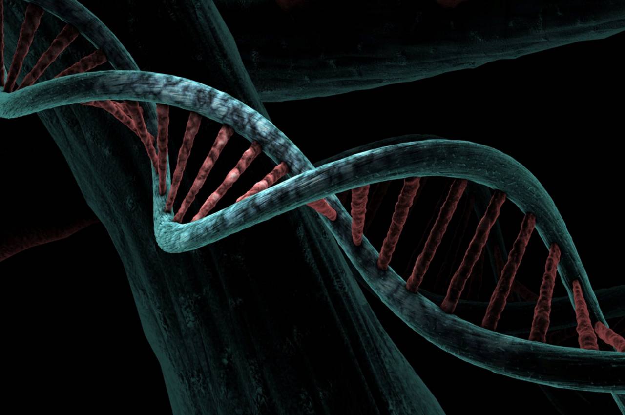 Double helix, Nucleotides, Base pairs, Genetic code, Chromosomes, Helical structure, Deoxyribonucleic acid, Adenine, Thymine, Guanine, Cytosine, DNA replication, DNA sequencing, Watson and Crick, Molecular biology, Genome, Genetic information, DNA strands, Genetic material, Genetic blueprint, DNA analysis, DNA molecule, DNA transcription, Genetic mutations, DNA function, DNA, 