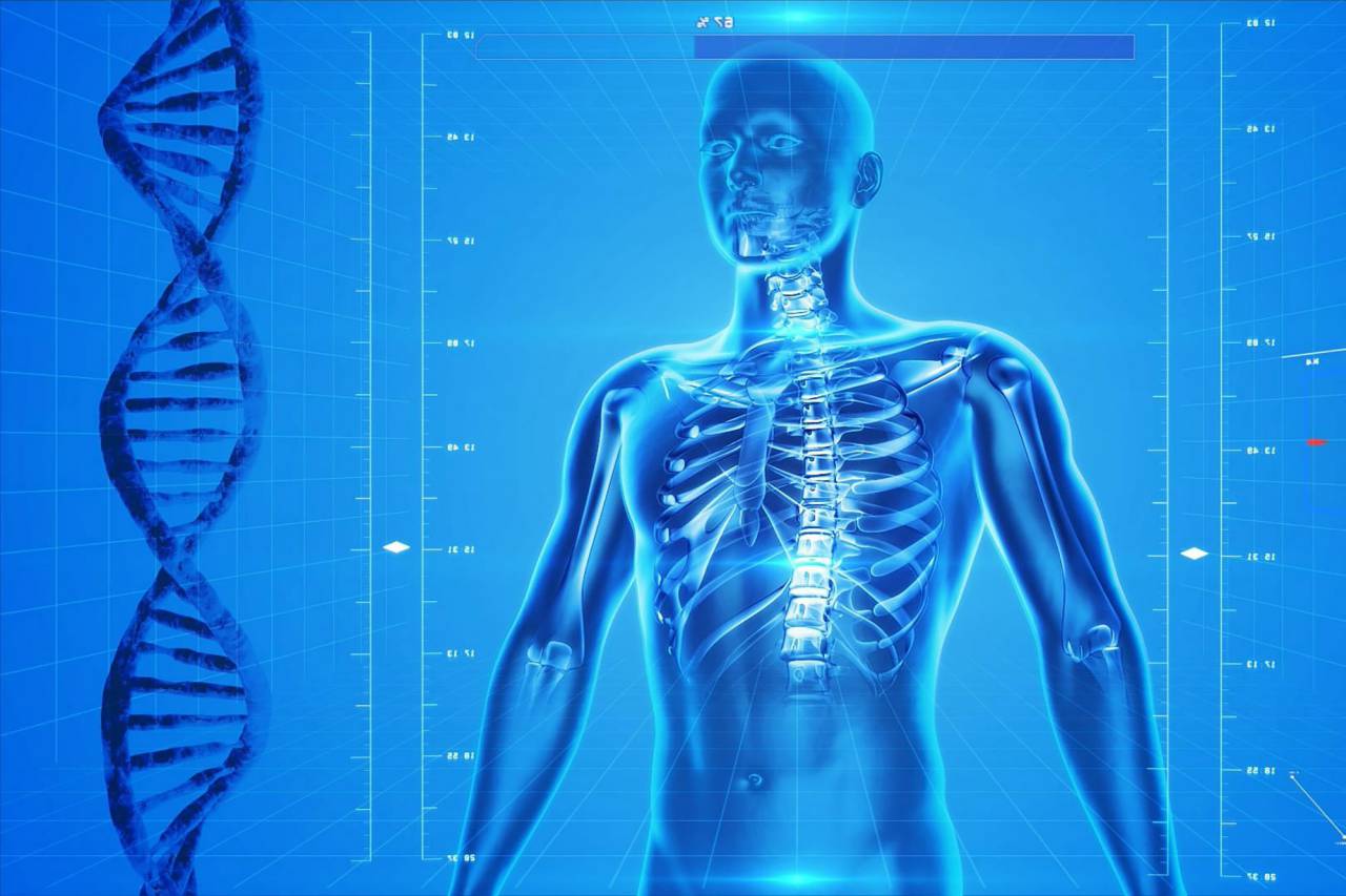 Doble hélice, Nucleótidos, Pares de bases, Código genético, Cromosomas, Estructura helicoidal, Ácido desoxirribonucleico, Adenina, Timina, Guanina, Citosina, Replicación del ADN, Secuenciación del ADN, Watson y Crick, Biología molecular, Genoma, Información genética, Hebras de ADN, Material genético , Modelo genético, análisis de ADN, molécula de ADN, transcripción de ADN, mutaciones genéticas, función del ADN, ADN,